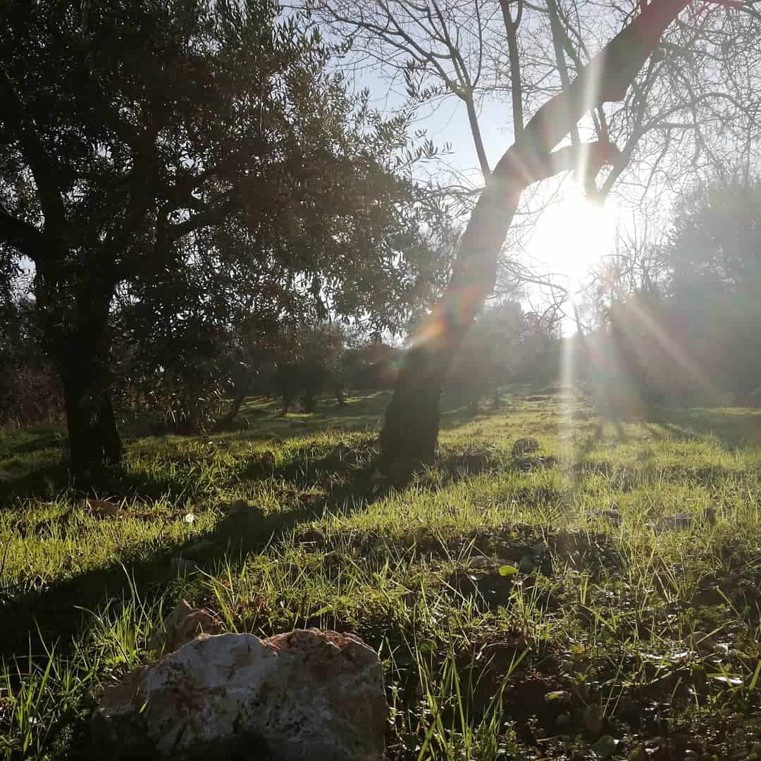 Can Çakmak