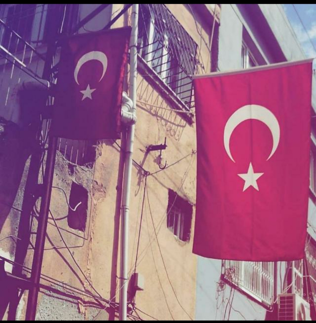 Mehmet Ecevit