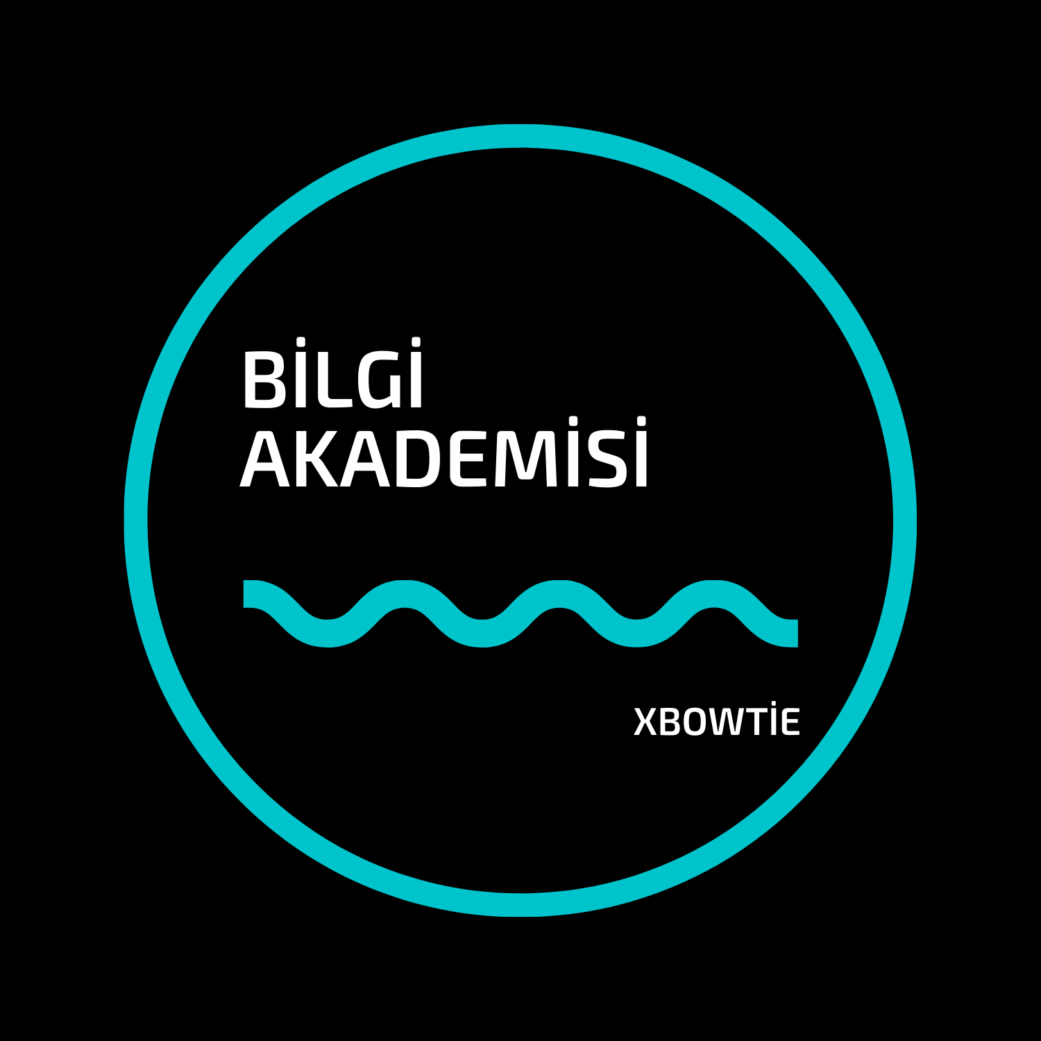 Bilgi Akademisi