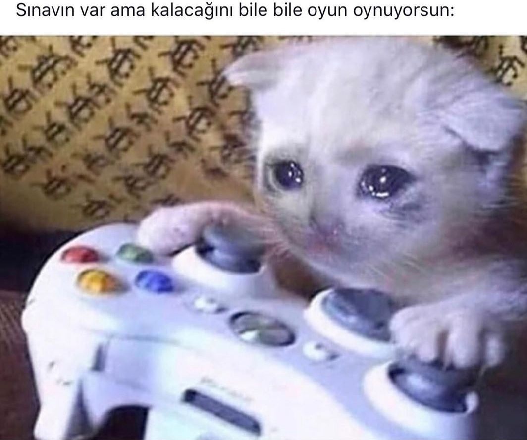Efe Çınar