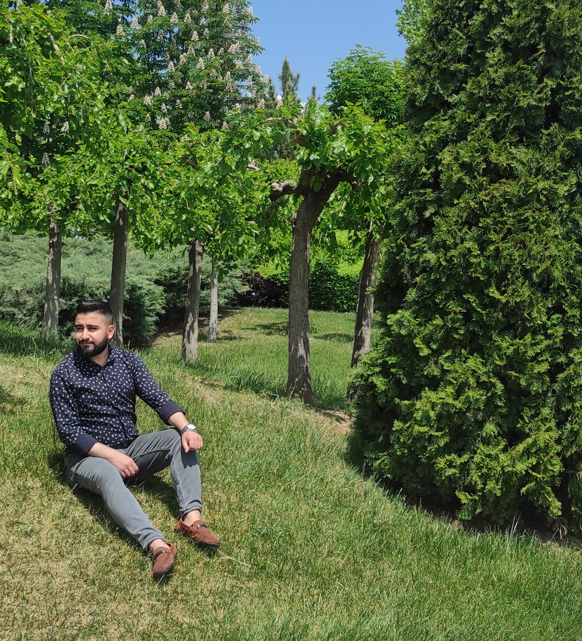 Rota gelişim